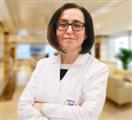 Dr. Figen Sungar